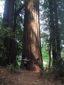 Yes, I'm hugging the tree. It's for perspective.