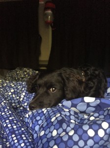 DO NOT WAKE ME UP...I NEED A MOMENT.