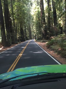 Life on the road forces me to be in the moment.