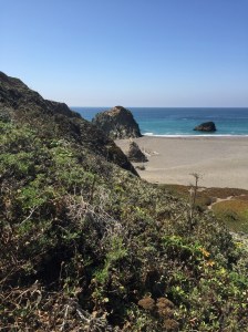 The beautiful Sonoma Coast.