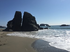 More Sonoma Coast.