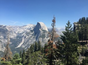 Yosemite's Half Dome is an ever-looming presence.