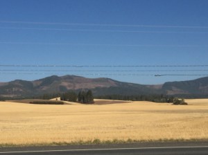 This was my view for hours. It was stunning in its own way.