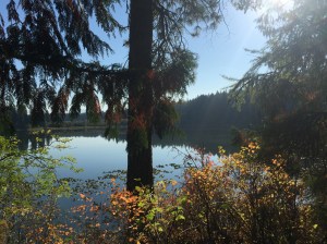 Early morning moose hunting on Round Lake in Sandpoint, Idaho. 
