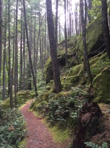 The Pacific Crest Trail in the Cascades.