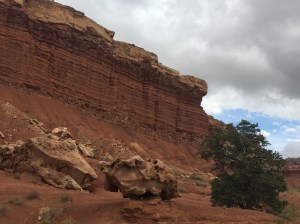 Glen Canyon walls, which went on for miles.