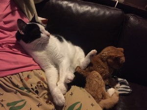 Petie and Archie vy for space.