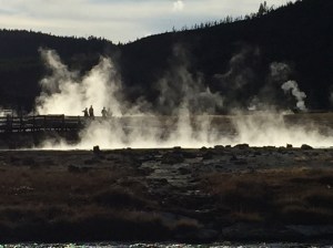 A peaceful look at tourists.