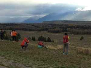 No caption needed. I am not even sure what they are looking at.