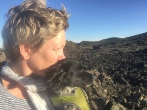 Willy enjoyed the lava fields, and the bunnies who lived in them peacefully, until his arrival.