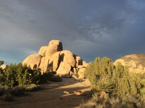 Volcanic rock formations.