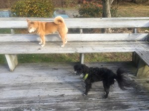 And compete for higher ground.