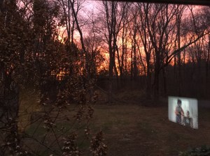 A view from my living room window. Notice the reflection of the TV screen. Guess which view I preferred.