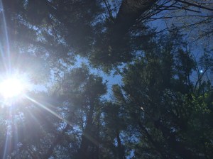 One of my favorite places to rebalance.