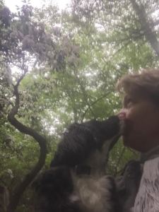 Willy and I find local adventures in the woods..