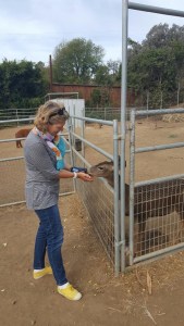 And as long as I have treats, I get all the attention I need.