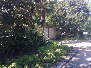 Perhaps this gate shields an unwieldy garden gnome collection.